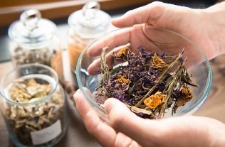 Médecine à base de plantes